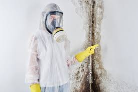 Why You Should Choose Our Mold Remediation Services in Nanuet, NY